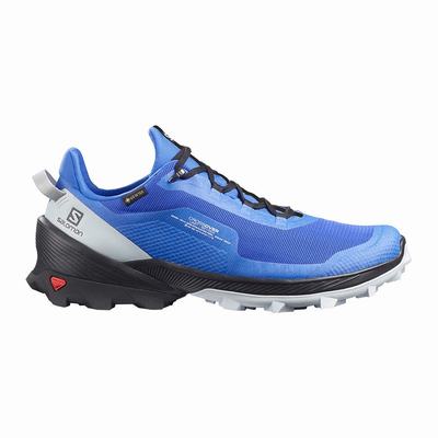 Férfi Salomon CROSS OVER GORE-TEX Túracipő SA0156279 Kék/Fekete